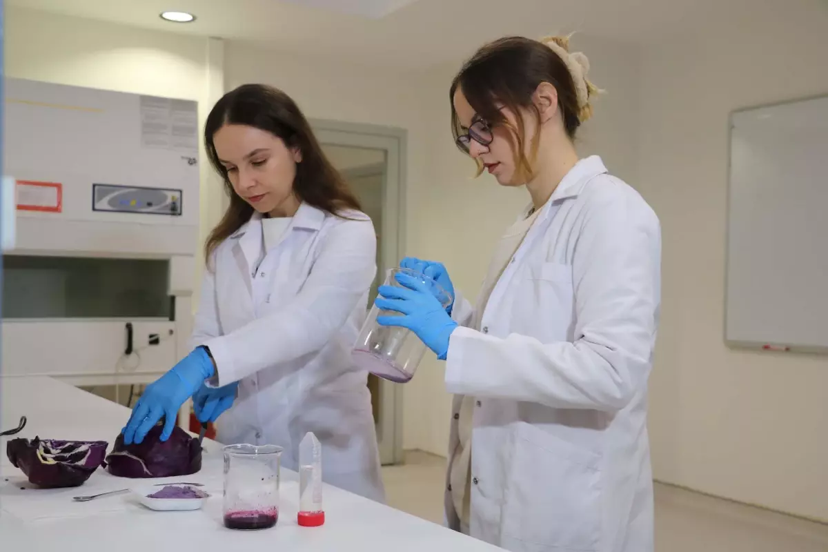 Mor Lahana ile Doğal Kozmetik Ürünleri Üretimi
