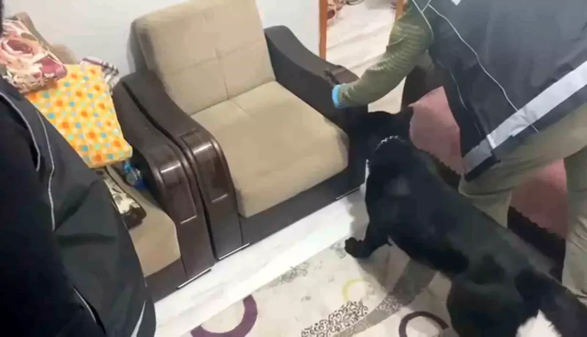 Samsun’da Koltuktan 800 Gram Uyuşturucu Çıktı