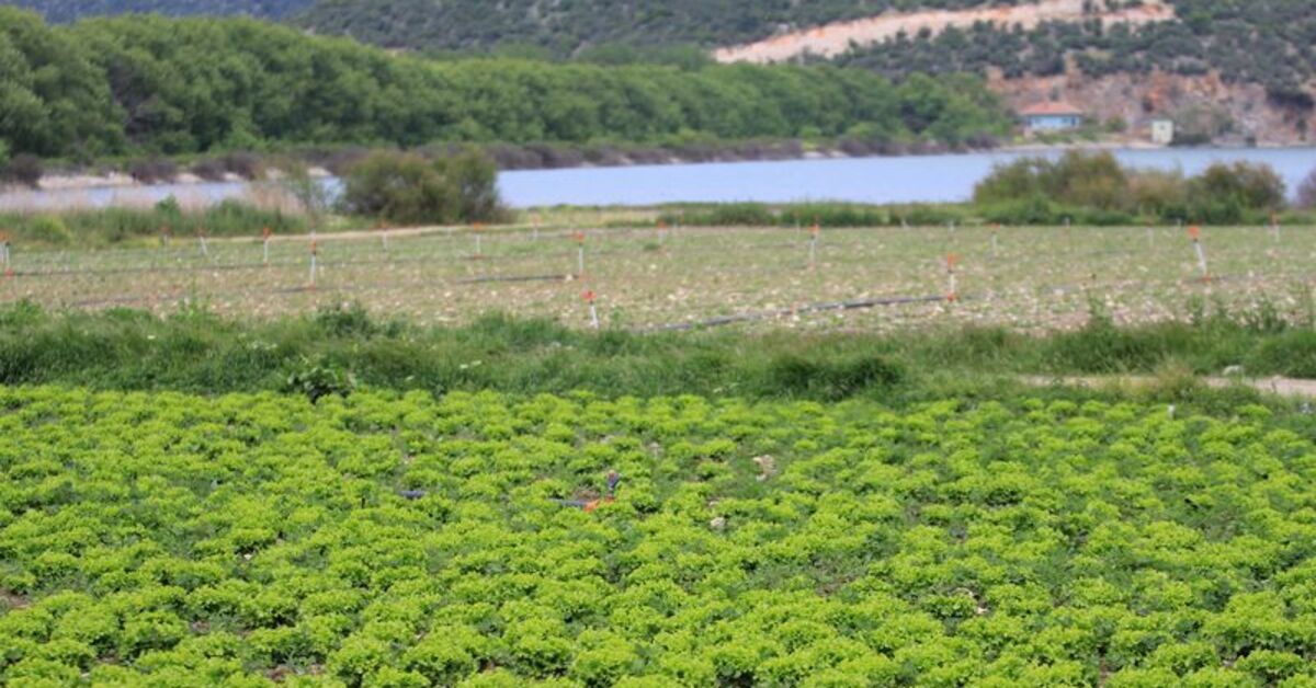 Bursa’da baraj arazisinde tarımsal faaliyet sürdüren kişiler hakkında işlem başlatıldı